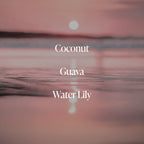 Coral Coast - Plump Skin Duo